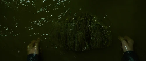 Still frame 211 from Parasite (2019) directed by Bong Joon Ho