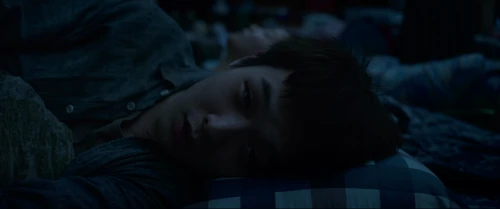Still frame 221 from Parasite (2019) directed by Bong Joon Ho
