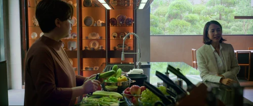 Still frame 227 from Parasite (2019) directed by Bong Joon Ho