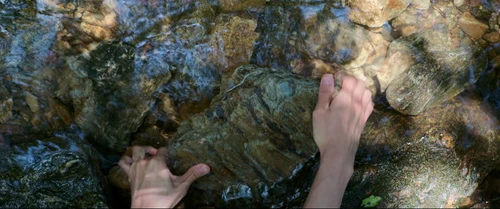 Still frame 286 from Parasite (2019) directed by Bong Joon Ho