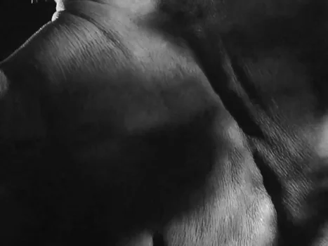 Still frame 98 from Perfect Days (2023) directed by Wim Wenders