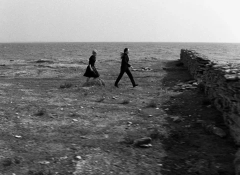 Still frame 89 from Persona (1966) directed by Ingmar Bergman