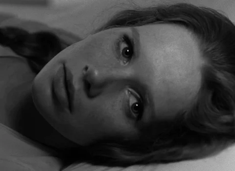 Still frame 21 from Persona (1966) directed by Ingmar Bergman