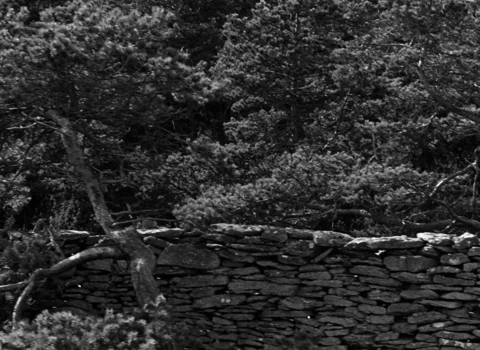 Still frame 37 from Persona (1966) directed by Ingmar Bergman