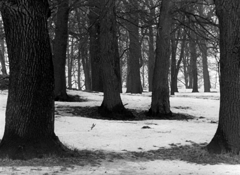 Still frame 3 from Persona (1966) directed by Ingmar Bergman