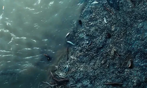 Still frame 67 from Poor Things (2023) directed by Yorgos Lanthimos