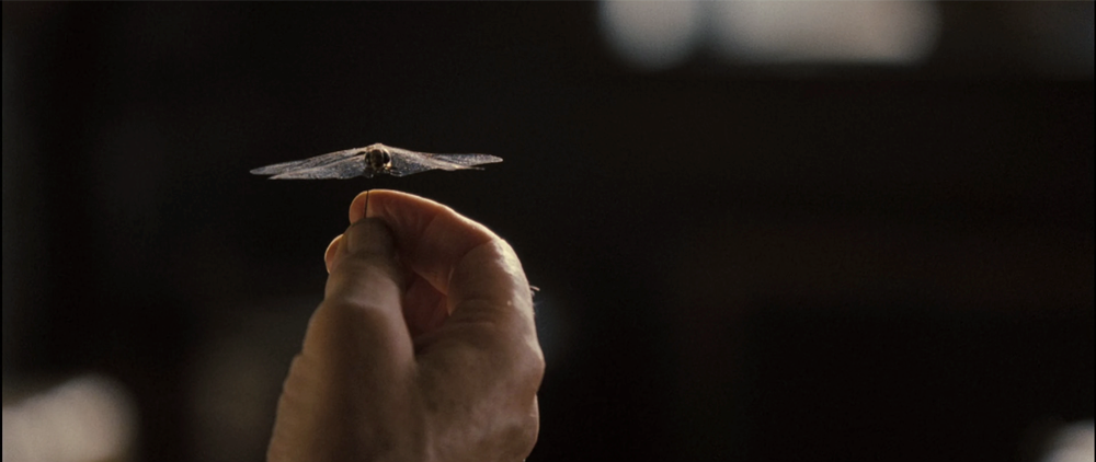 Still frame 138 from Pride & Prejudice (2005) directed by Joe Wright