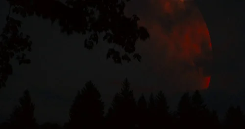 Still frame 71 from Prospect (2018) directed by Christopher Caldwell, Zeek Earl