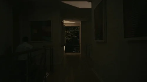 Reptile (2023) - Cinematography