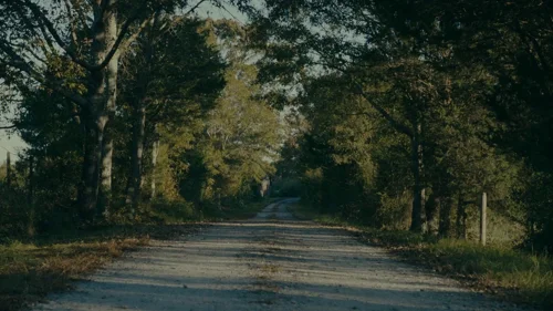 Still frame 39 from Reptile (2023) directed by Grant Singer