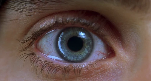 Requiem for a Dream