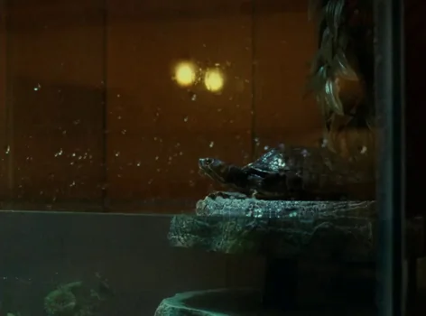 Still frame 56 from Riceboy Sleeps (2022) directed by Anthony Shim