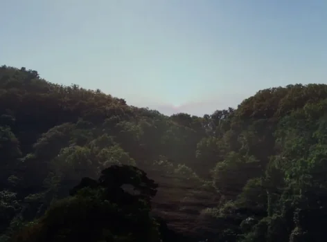 Still frame 84 from Riceboy Sleeps (2022) directed by Anthony Shim