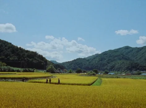 Still frame 99 from Riceboy Sleeps (2022) directed by Anthony Shim