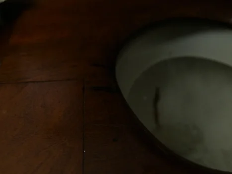 Still frame 103 from Saltburn (2023) directed by Emerald Fennell