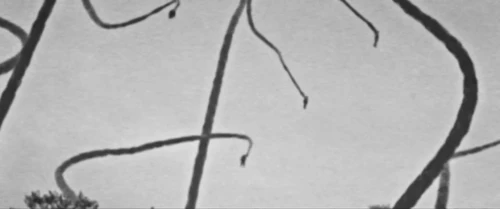 Still frame 132 from SCP: Overlord (2020) directed by Stephen Hancock