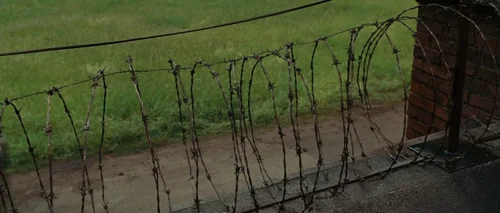 Still frame 4 from Shutter Island (2010) directed by Martin Scorsese