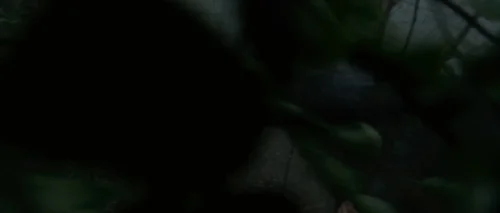 Still frame 47 from Shutter Island (2010) directed by Martin Scorsese