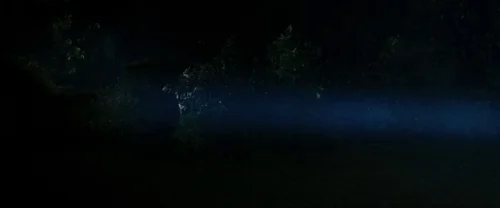 Still frame 38 from Sinister (2012) directed by Scott Derrickson