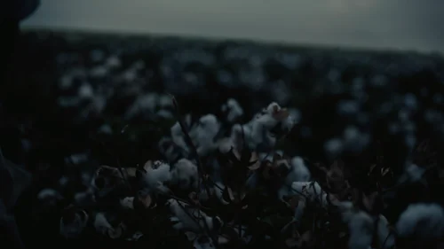 Still frame 8 from Sinners (2025) directed by Ryan Coogler