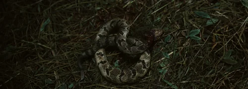 Still frame 30 from Sinners (2025) directed by Ryan Coogler