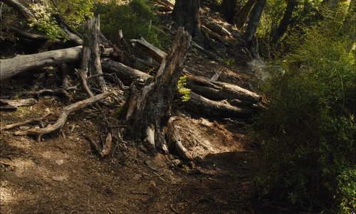 Still frame 114 from Slow West (2015) directed by John Maclean