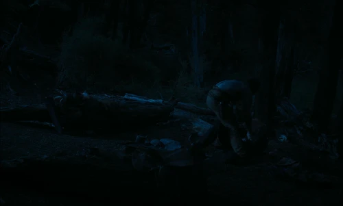 Still frame 139 from Slow West (2015) directed by John Maclean