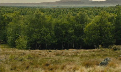 Still frame 157 from Slow West (2015) directed by John Maclean