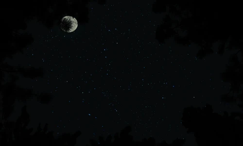 Still frame 42 from Slow West (2015) directed by John Maclean