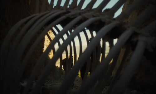 Still frame 49 from Slow West (2015) directed by John Maclean