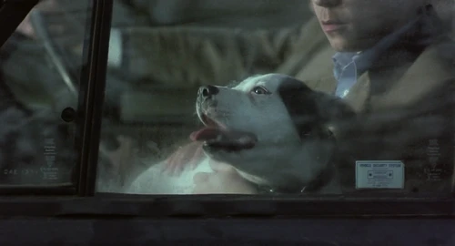 Still frame 184 from Snatch (2000) directed by Guy Ritchie
