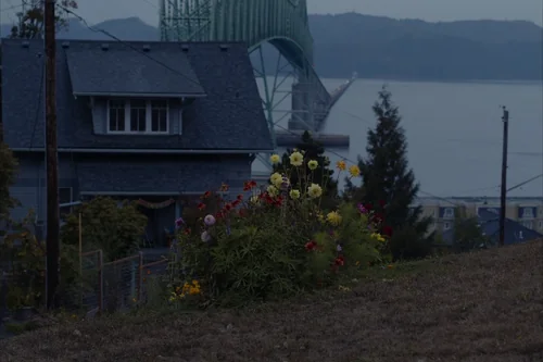 Still frame 2 from Sometimes I Think About Dying (2023) directed by Rachel Lambert