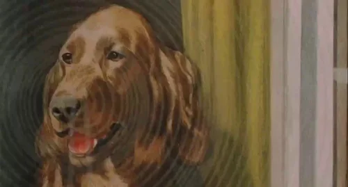 Still frame 101 from Submarine (2010) directed by Richard Ayoade