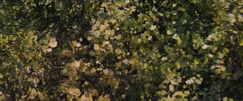 Still frame 14 from The 5th Wave (2016) directed by J Blakeson