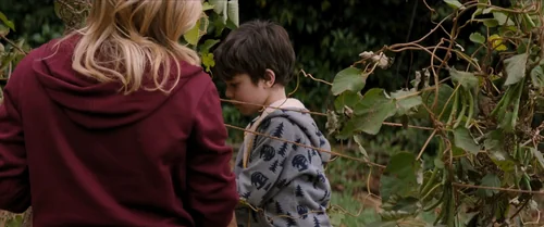 Still frame 24 from The 5th Wave (2016) directed by J Blakeson