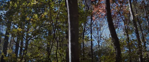 Still frame 44 from The 5th Wave (2016) directed by J Blakeson
