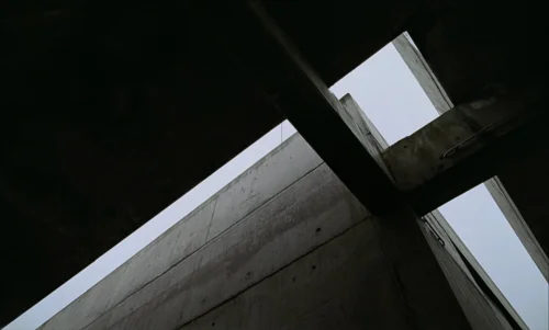 The Brutalist