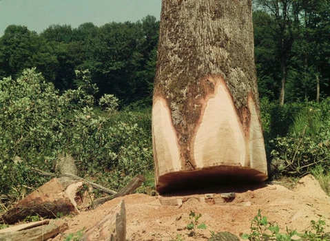 Still frame 72 from The Devil, Probably (1977) directed by Robert Bresson