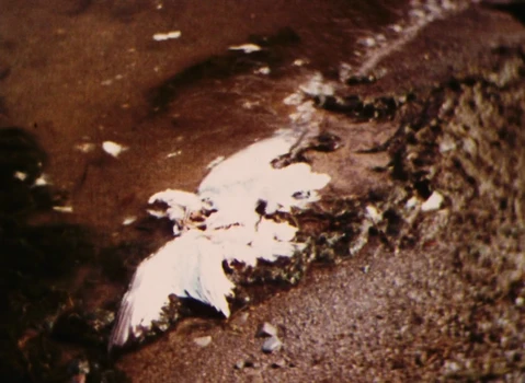 Still frame 75 from The Devil, Probably (1977) directed by Robert Bresson