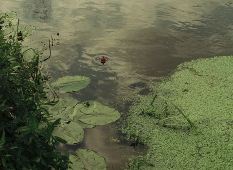 Still frame 136 from The Devil, Probably (1977) directed by Robert Bresson