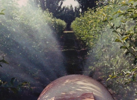 Still frame 10 from The Devil, Probably (1977) directed by Robert Bresson