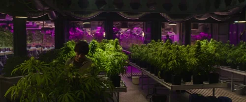 Still frame 10 from The Gentlemen (2019) directed by Guy Ritchie