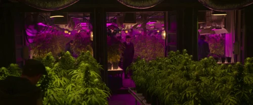 Still frame 11 from The Gentlemen (2019) directed by Guy Ritchie