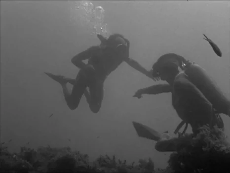 Still frame 101 from The Girl in the Bikini (1952) directed by Willy Rozier