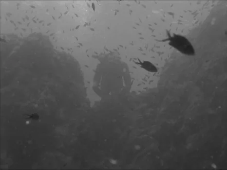 Still frame 104 from The Girl in the Bikini (1952) directed by Willy Rozier