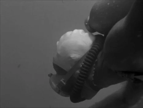 Still frame 105 from The Girl in the Bikini (1952) directed by Willy Rozier