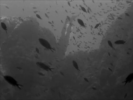 Still frame 107 from The Girl in the Bikini (1952) directed by Willy Rozier