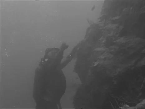 Still frame 108 from The Girl in the Bikini (1952) directed by Willy Rozier