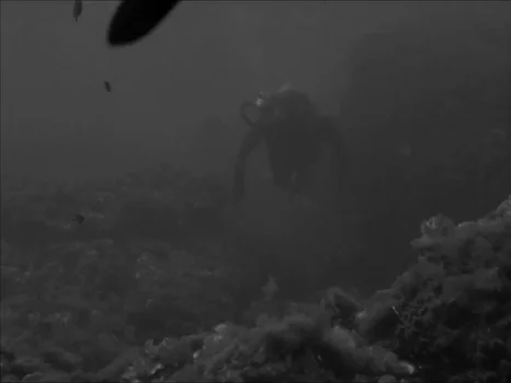 Still frame 136 from The Girl in the Bikini (1952) directed by Willy Rozier