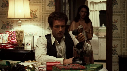 Still frame 61 from The Godfather (1972) directed by Francis Ford Coppola